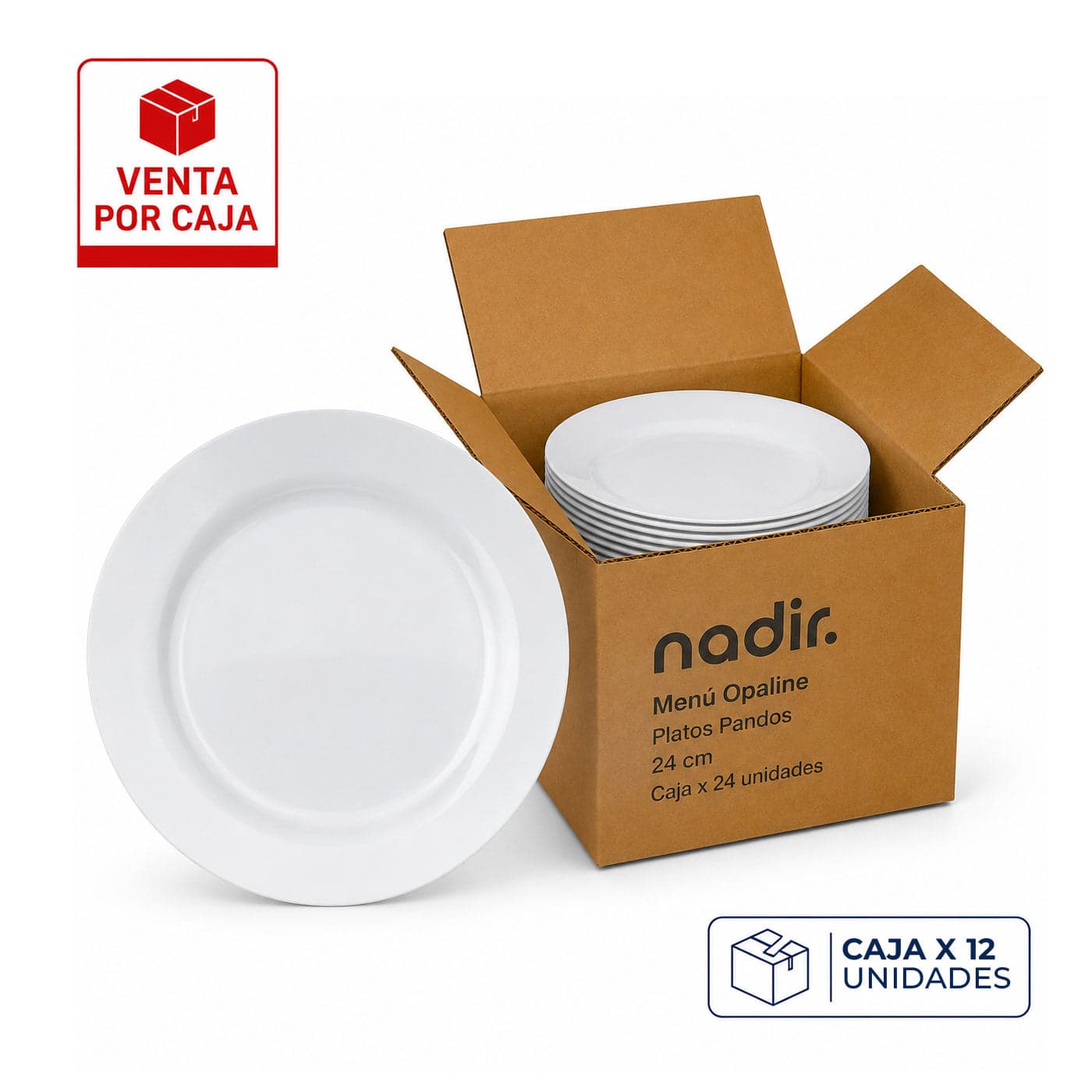 Caja x 24 Platos Pandos 24 cm Menú Opaline / Nadir