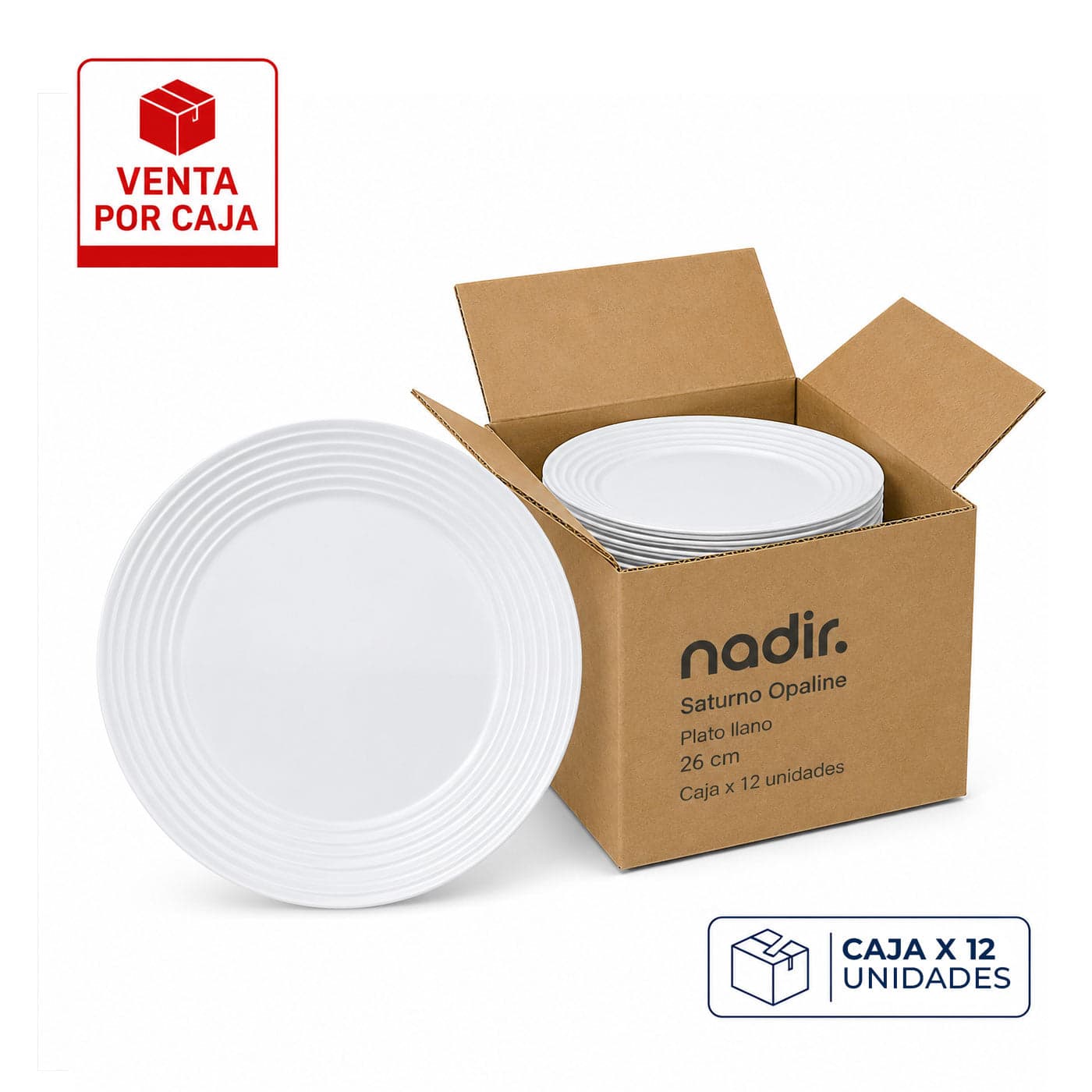 Caja x 12 Platos Pandos 26 cm Saturno Opaline / Nadir