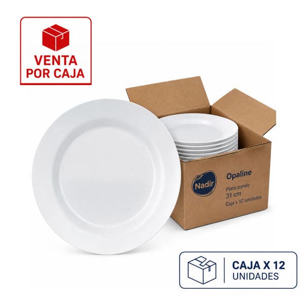 Caja x 12 Platos Pandos 31 cm Menú Opaline / Nadir