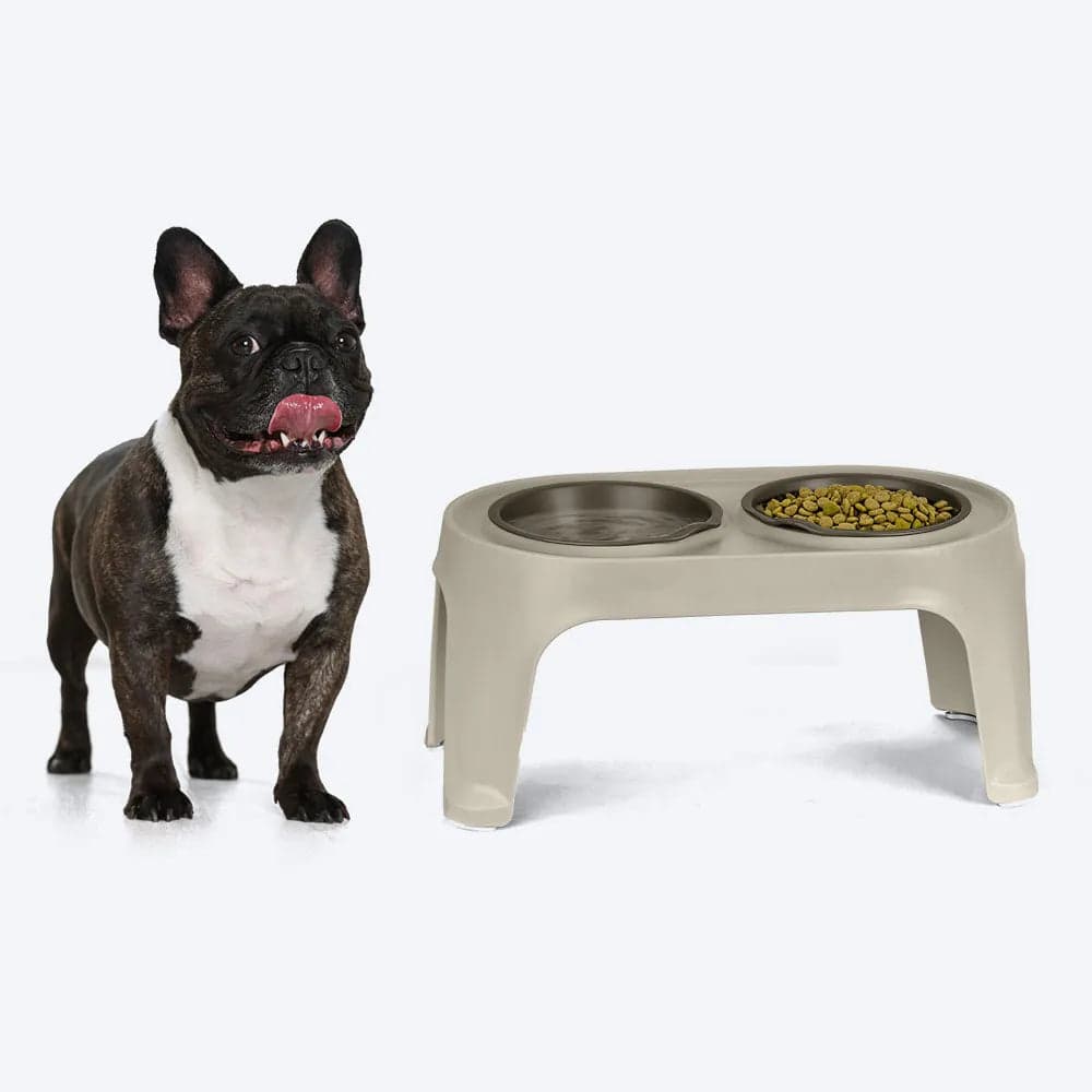 Comedero Elevado para Perro Mediano Taupe / Rimax